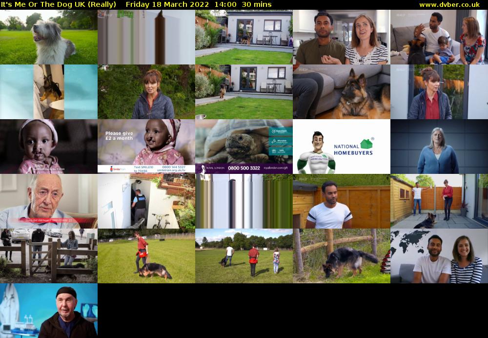 It's Me Or The Dog UK (Really) Friday 18 March 2022 14:00 - 14:30