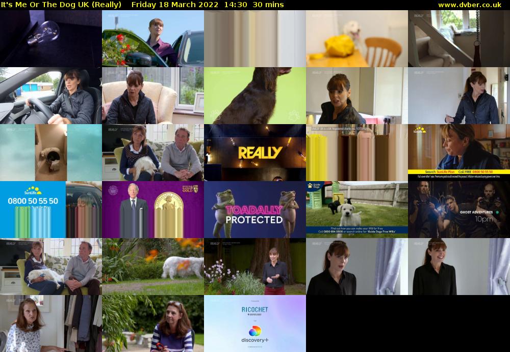 It's Me Or The Dog UK (Really) Friday 18 March 2022 14:30 - 15:00