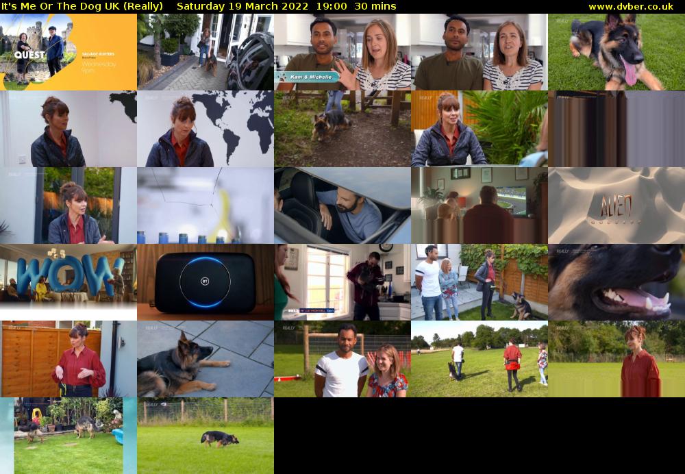 It's Me Or The Dog UK (Really) Saturday 19 March 2022 19:00 - 19:30