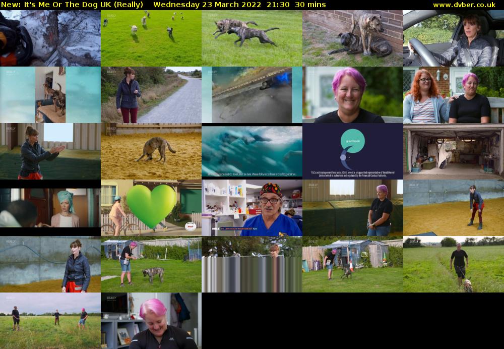 It's Me Or The Dog UK (Really) Wednesday 23 March 2022 21:30 - 22:00