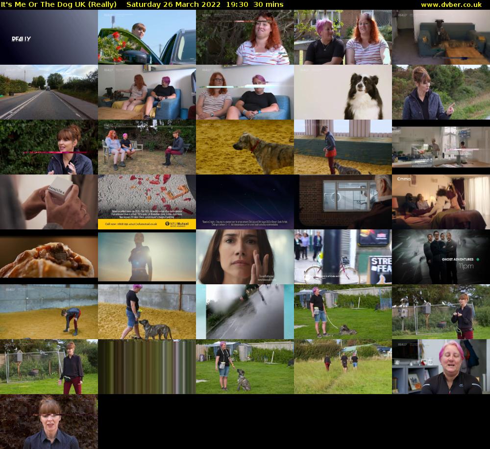 It's Me Or The Dog UK (Really) Saturday 26 March 2022 19:30 - 20:00