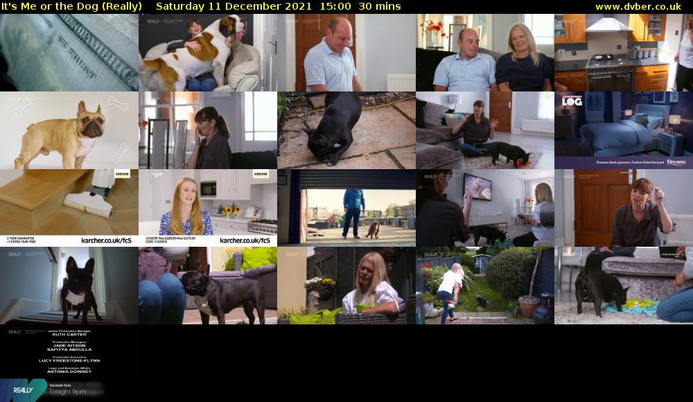 It's Me or the Dog (Really) Saturday 11 December 2021 15:00 - 15:30