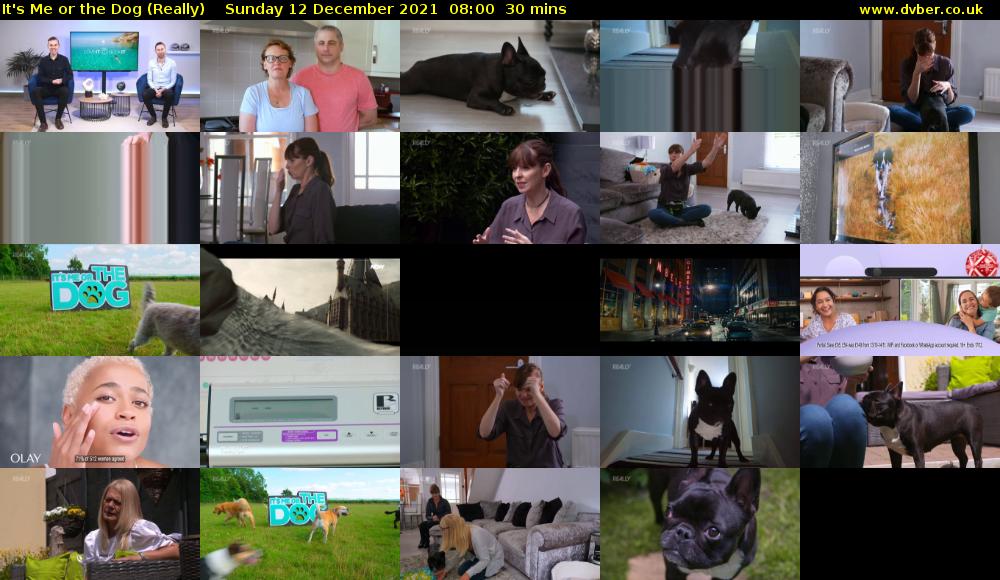 It's Me or the Dog (Really) Sunday 12 December 2021 08:00 - 08:30