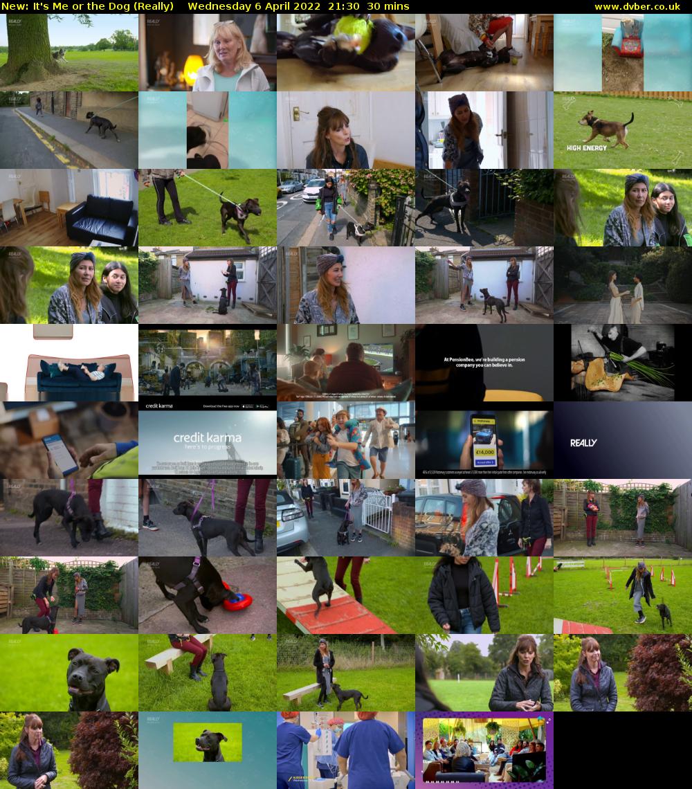 It's Me or the Dog (Really) Wednesday 6 April 2022 21:30 - 22:00
