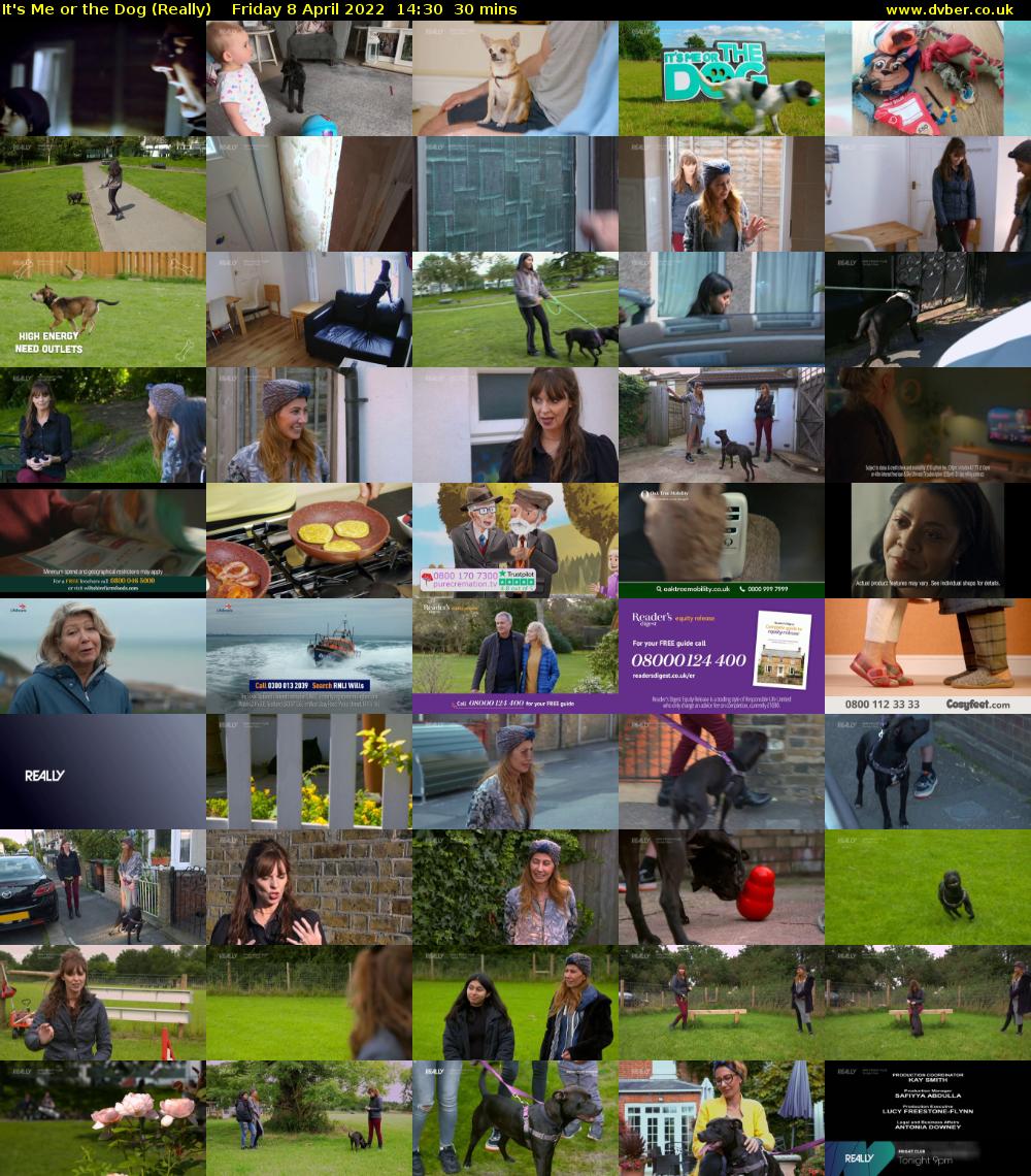 It's Me or the Dog (Really) Friday 8 April 2022 14:30 - 15:00