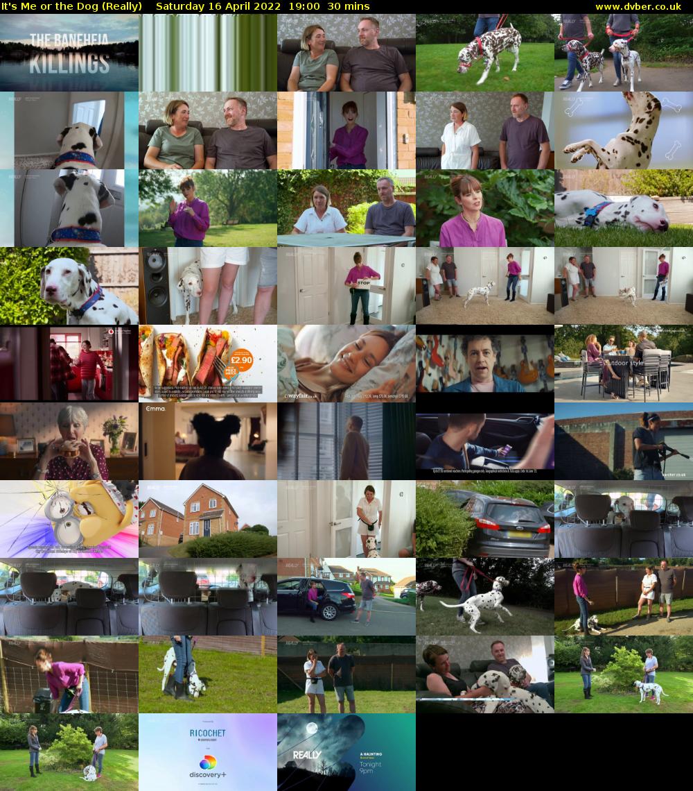 It's Me or the Dog (Really) Saturday 16 April 2022 19:00 - 19:30