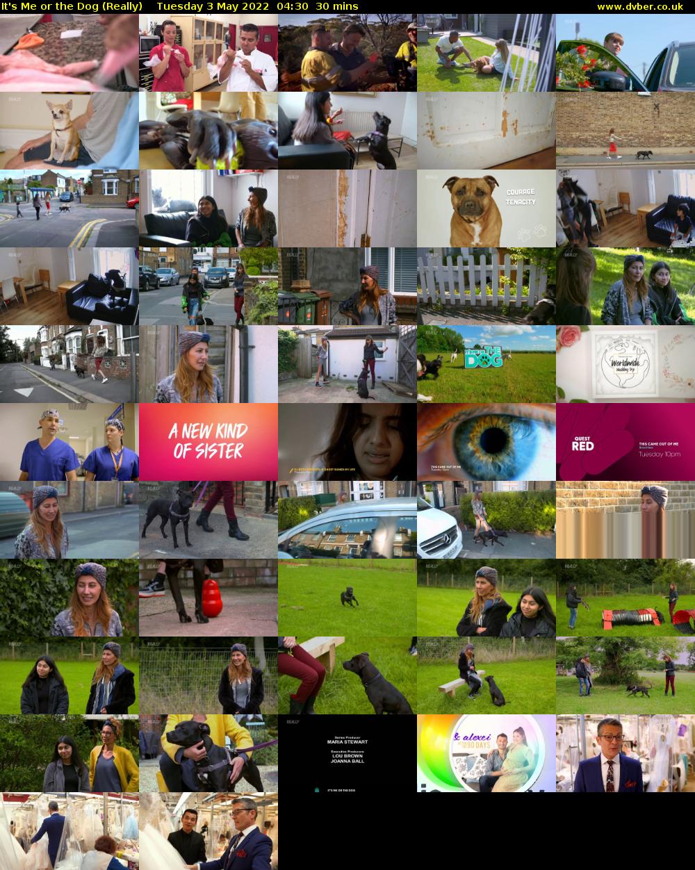 It's Me or the Dog (Really) Tuesday 3 May 2022 04:30 - 05:00