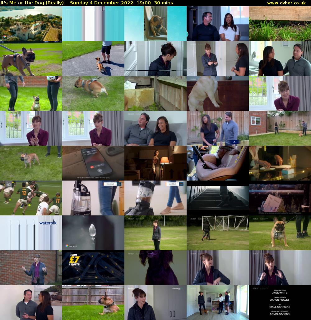 It's Me or the Dog (Really) Sunday 4 December 2022 19:00 - 19:30