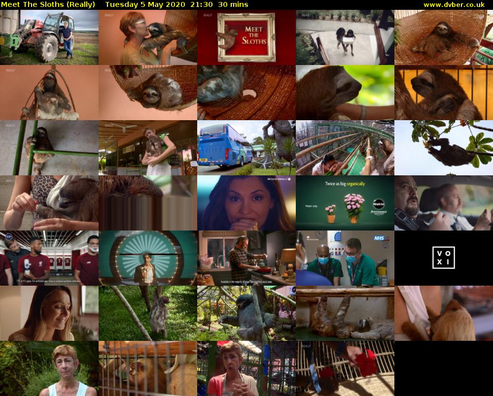 Meet The Sloths (Really) Tuesday 5 May 2020 21:30 - 22:00