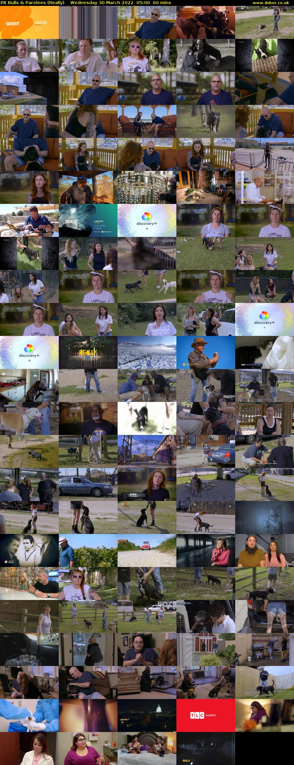 Pit Bulls & Parolees (Really) Wednesday 30 March 2022 05:00 - 06:00