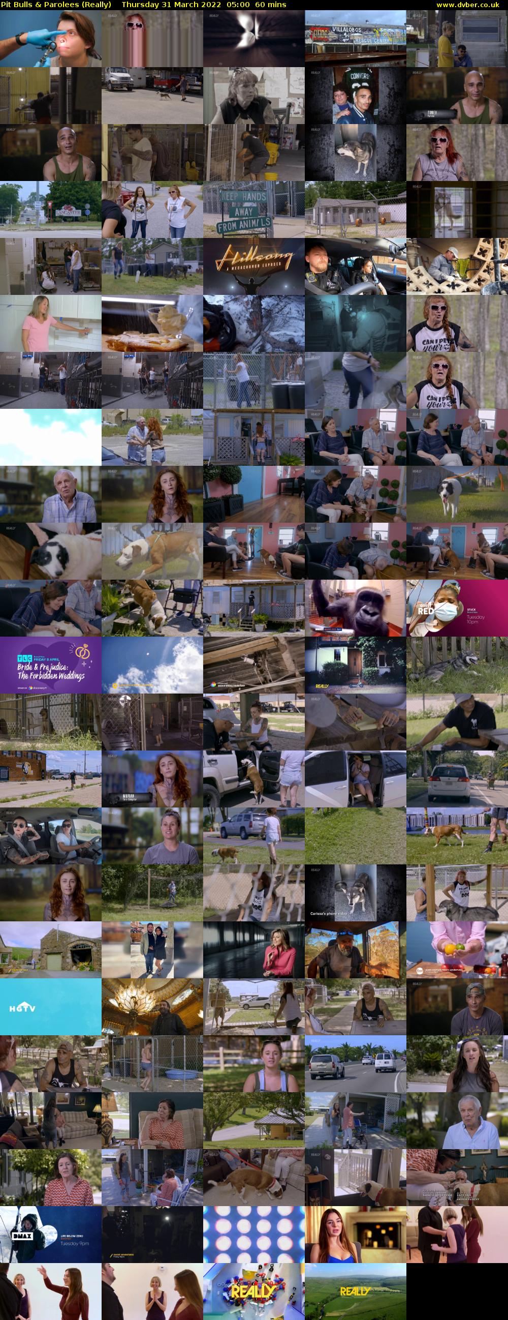 Pit Bulls & Parolees (Really) Thursday 31 March 2022 05:00 - 06:00
