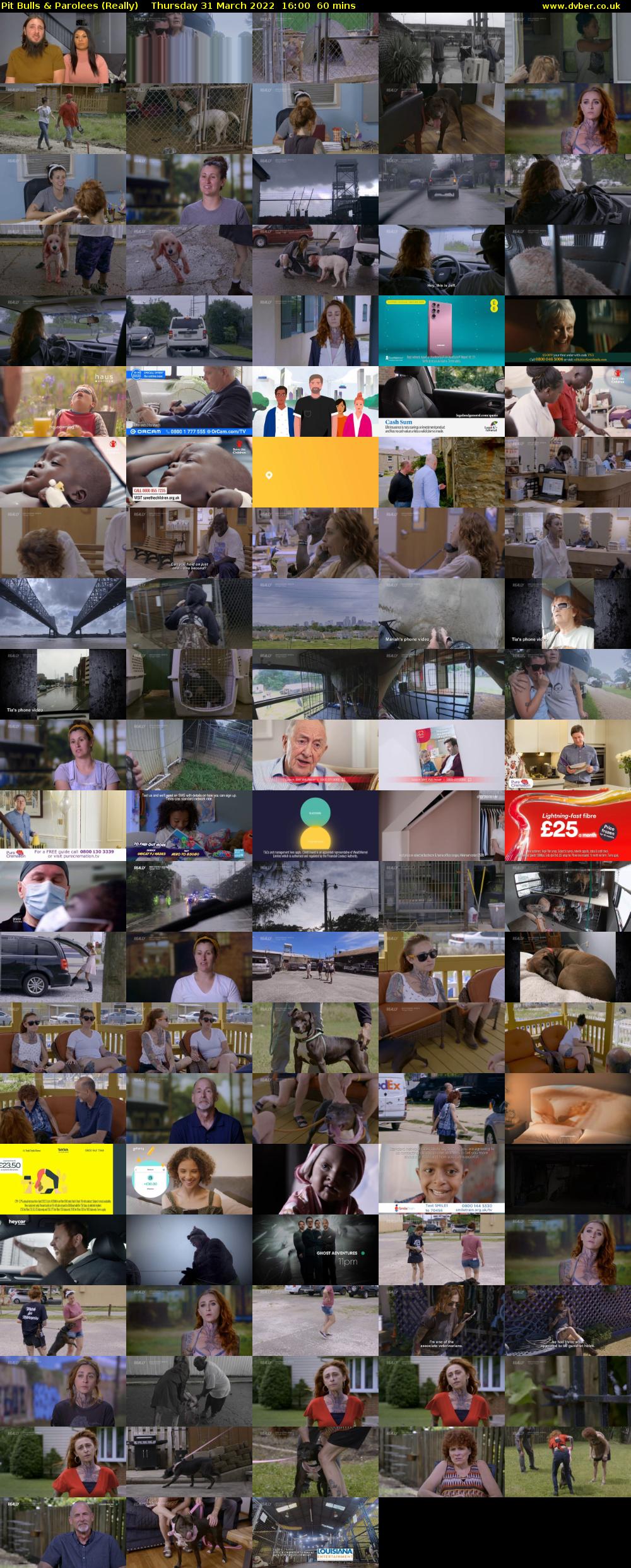 Pit Bulls & Parolees (Really) Thursday 31 March 2022 16:00 - 17:00