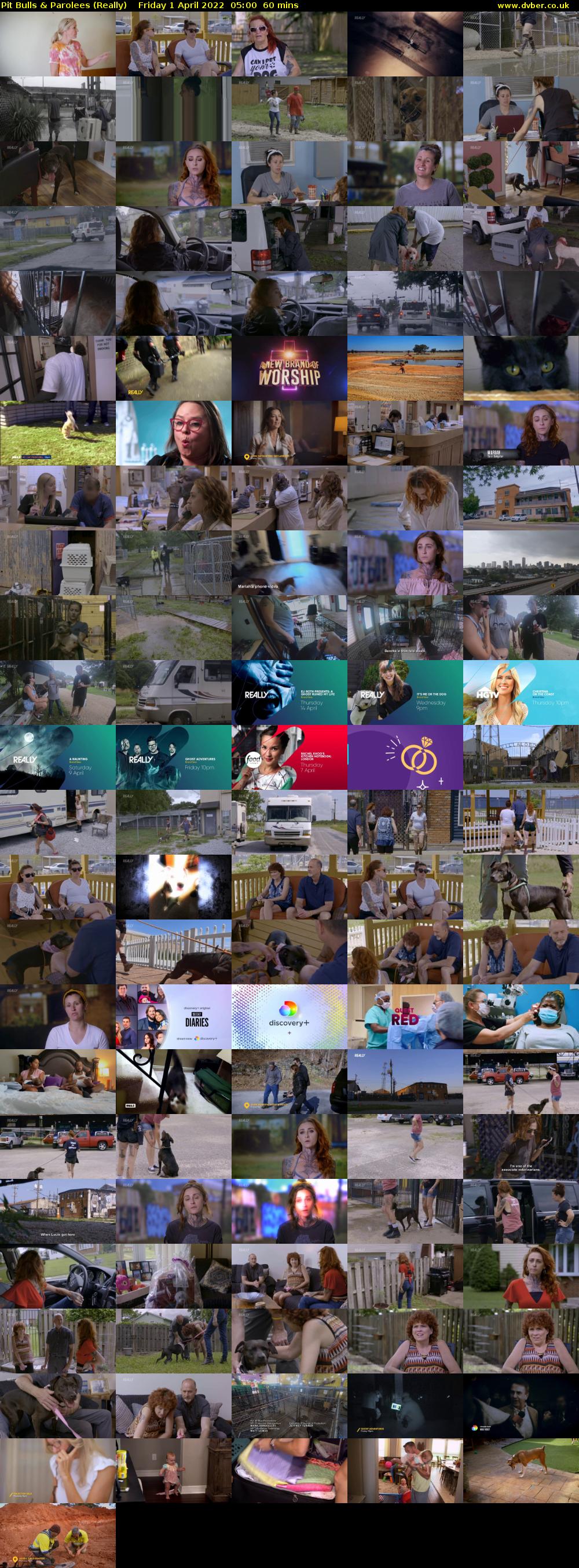 Pit Bulls & Parolees (Really) Friday 1 April 2022 05:00 - 06:00
