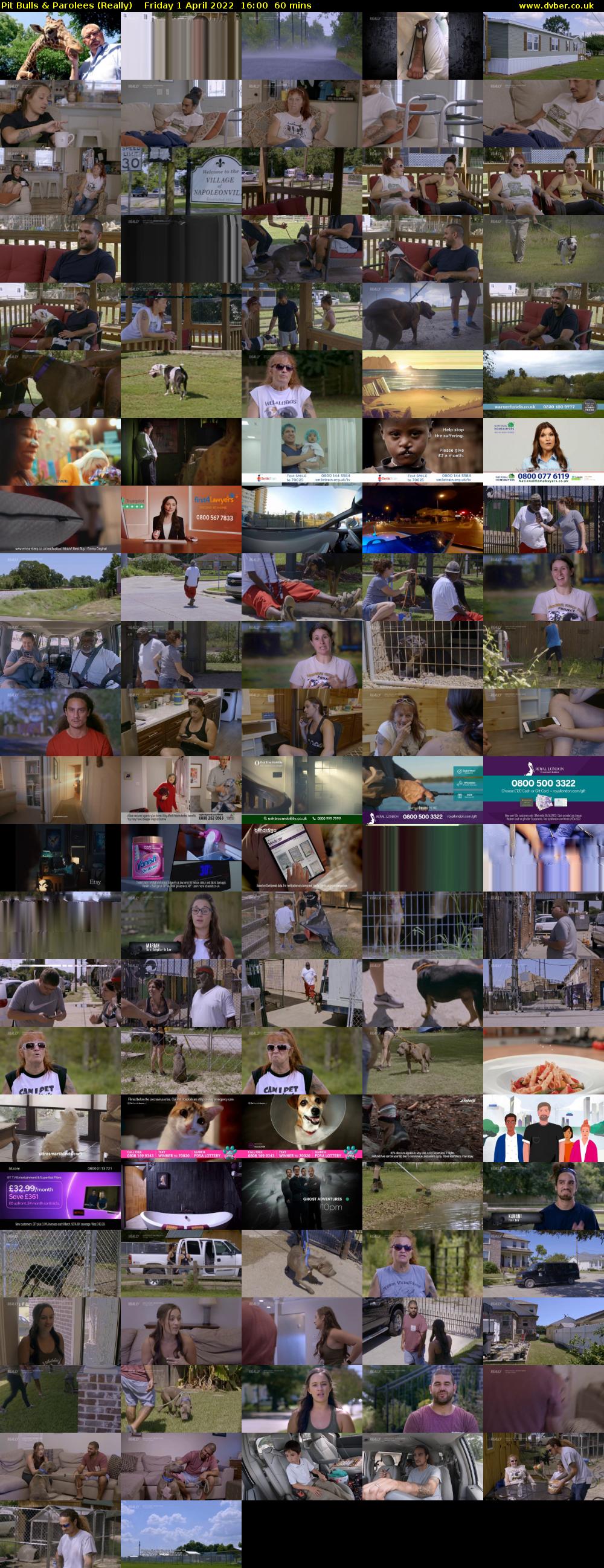 Pit Bulls & Parolees (Really) Friday 1 April 2022 16:00 - 17:00