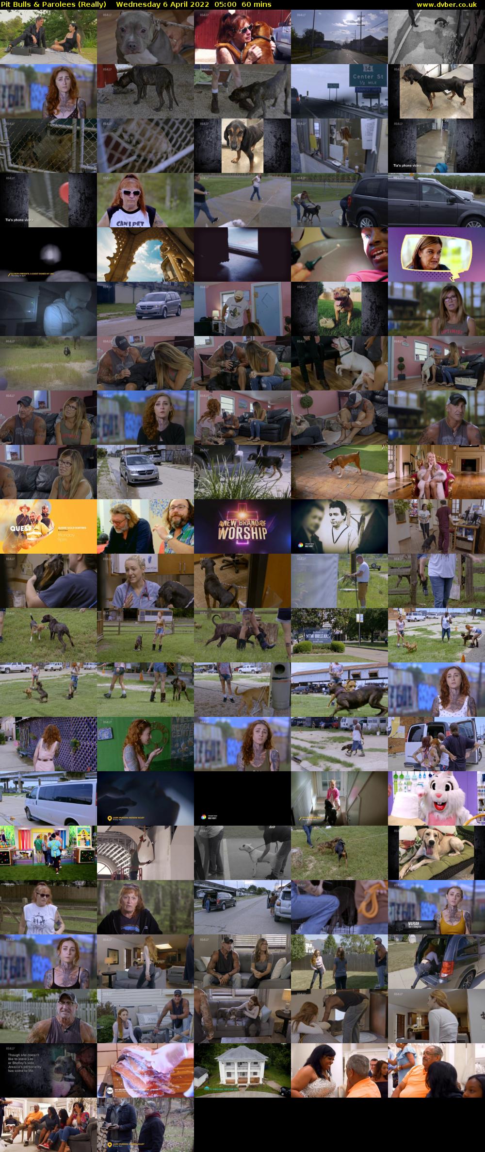 Pit Bulls & Parolees (Really) Wednesday 6 April 2022 05:00 - 06:00