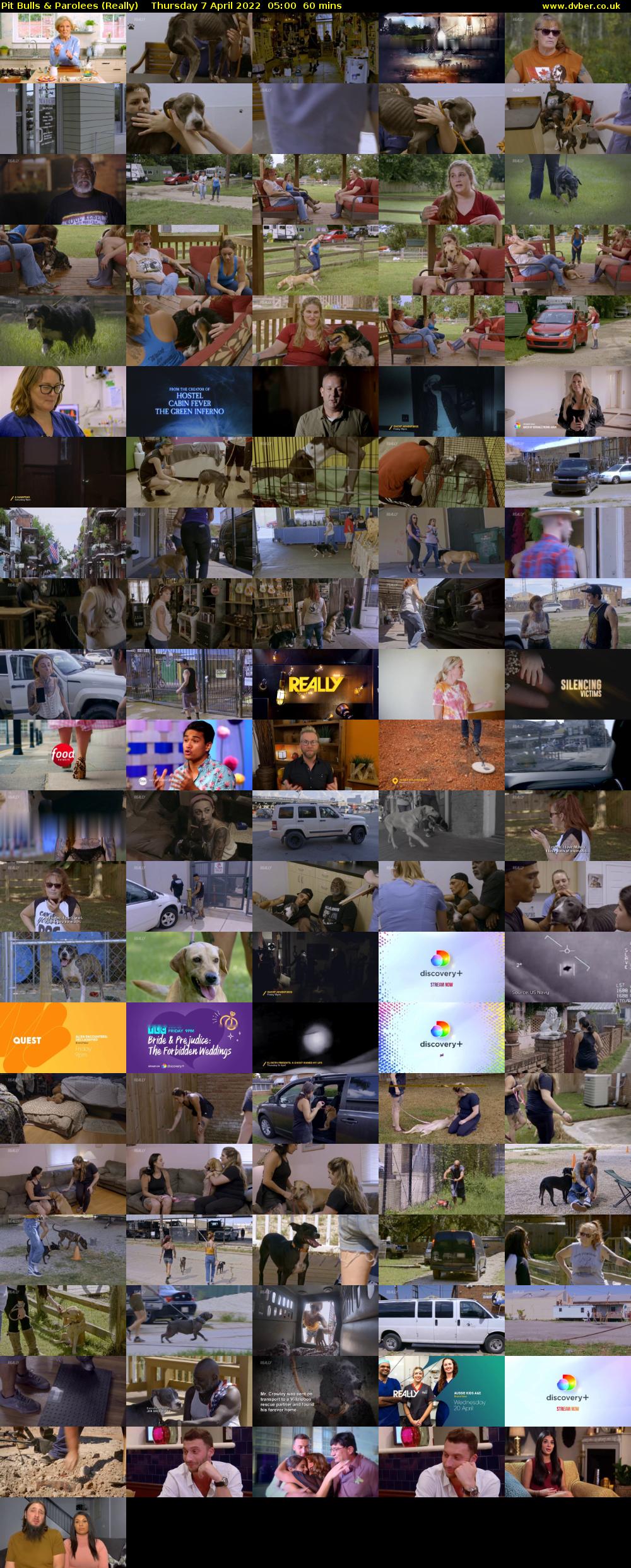 Pit Bulls & Parolees (Really) Thursday 7 April 2022 05:00 - 06:00