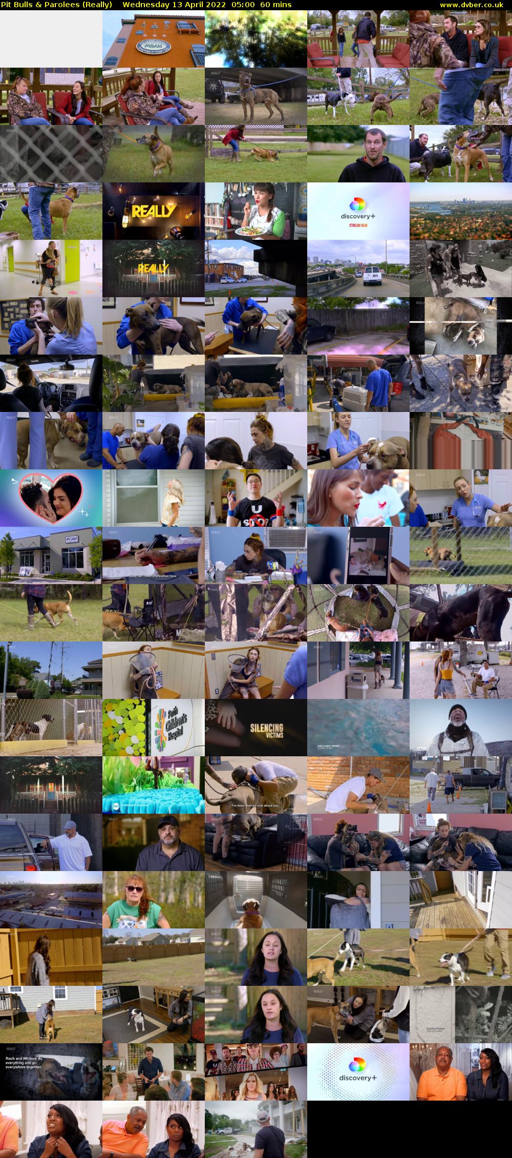 Pit Bulls & Parolees (Really) Wednesday 13 April 2022 05:00 - 06:00