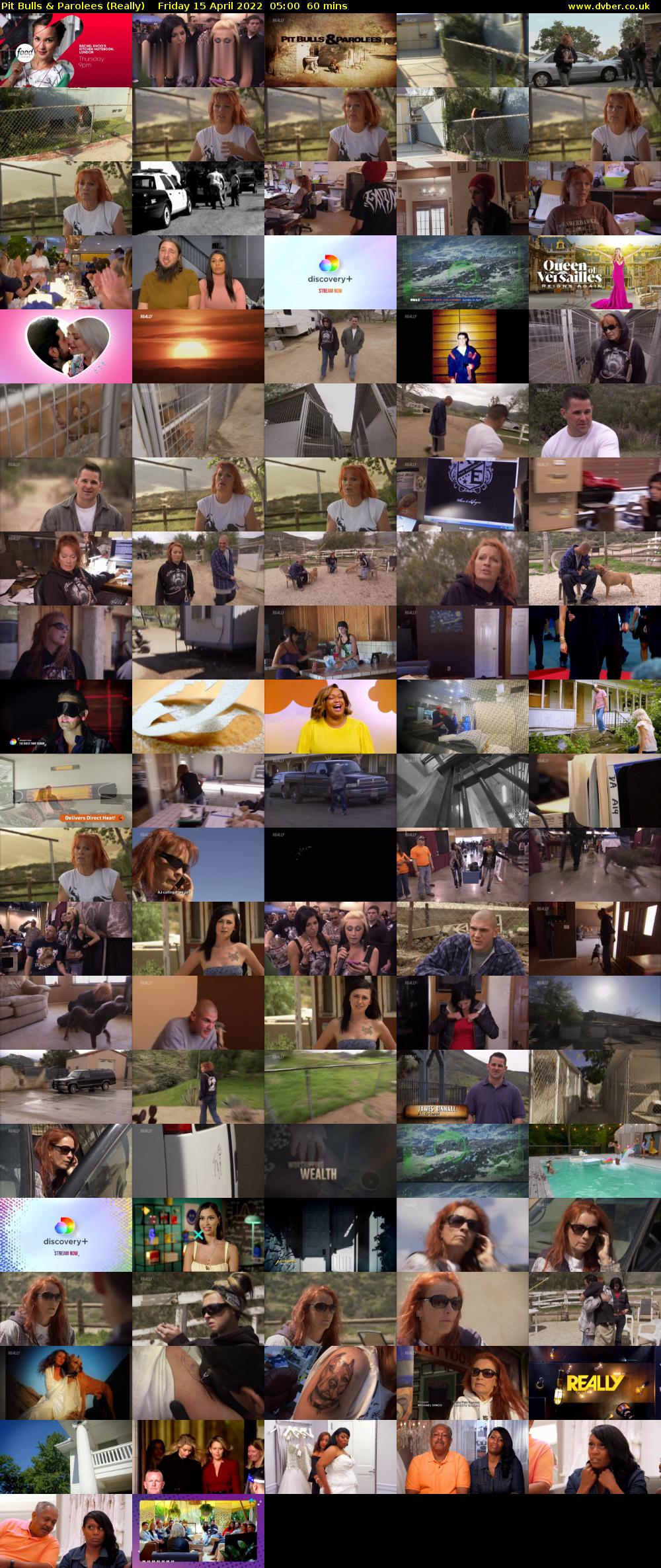 Pit Bulls & Parolees (Really) Friday 15 April 2022 05:00 - 06:00