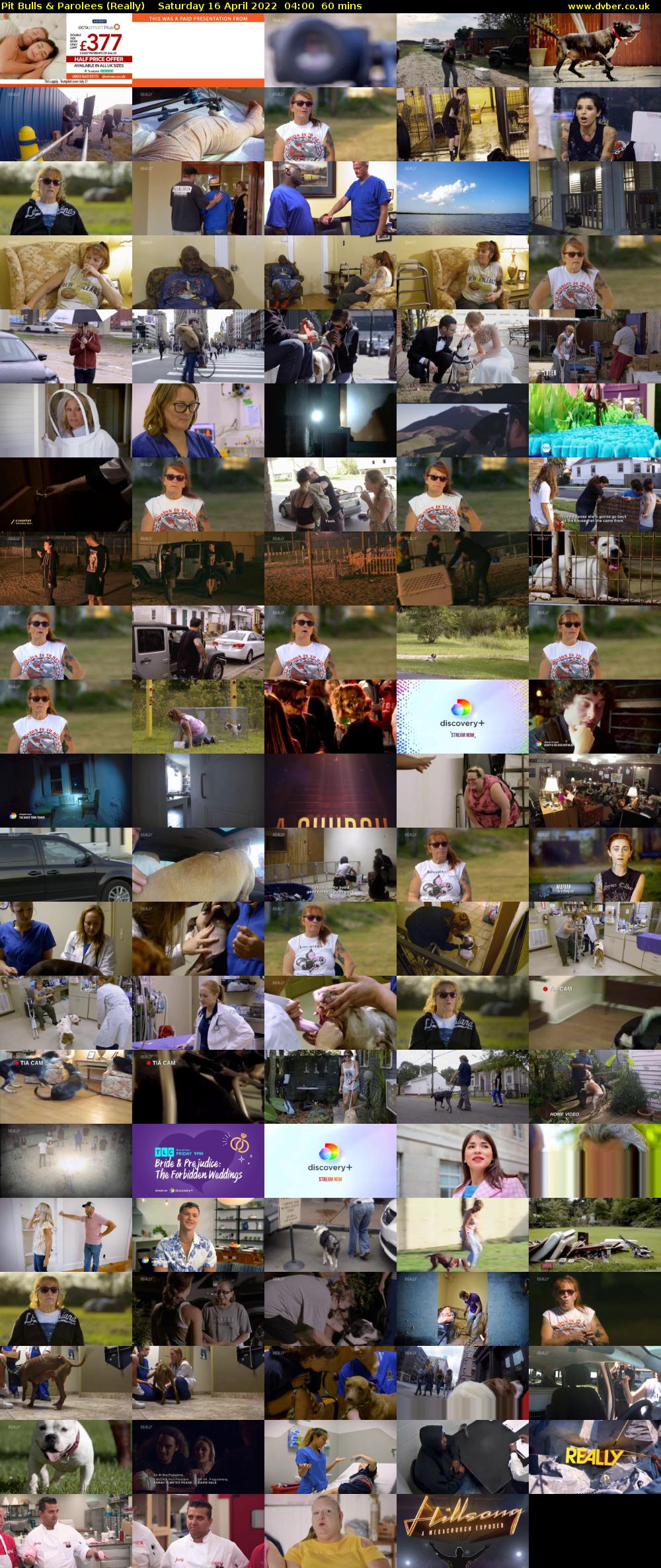 Pit Bulls & Parolees (Really) Saturday 16 April 2022 04:00 - 05:00