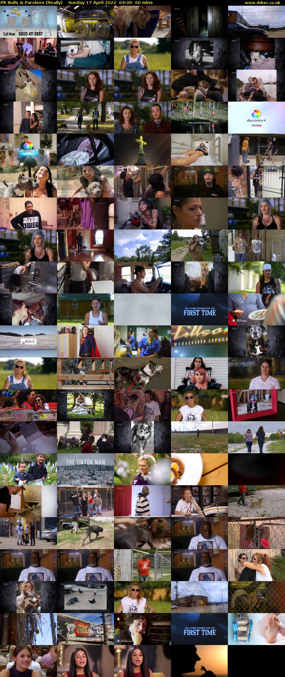 Pit Bulls & Parolees (Really) Sunday 17 April 2022 04:00 - 05:00