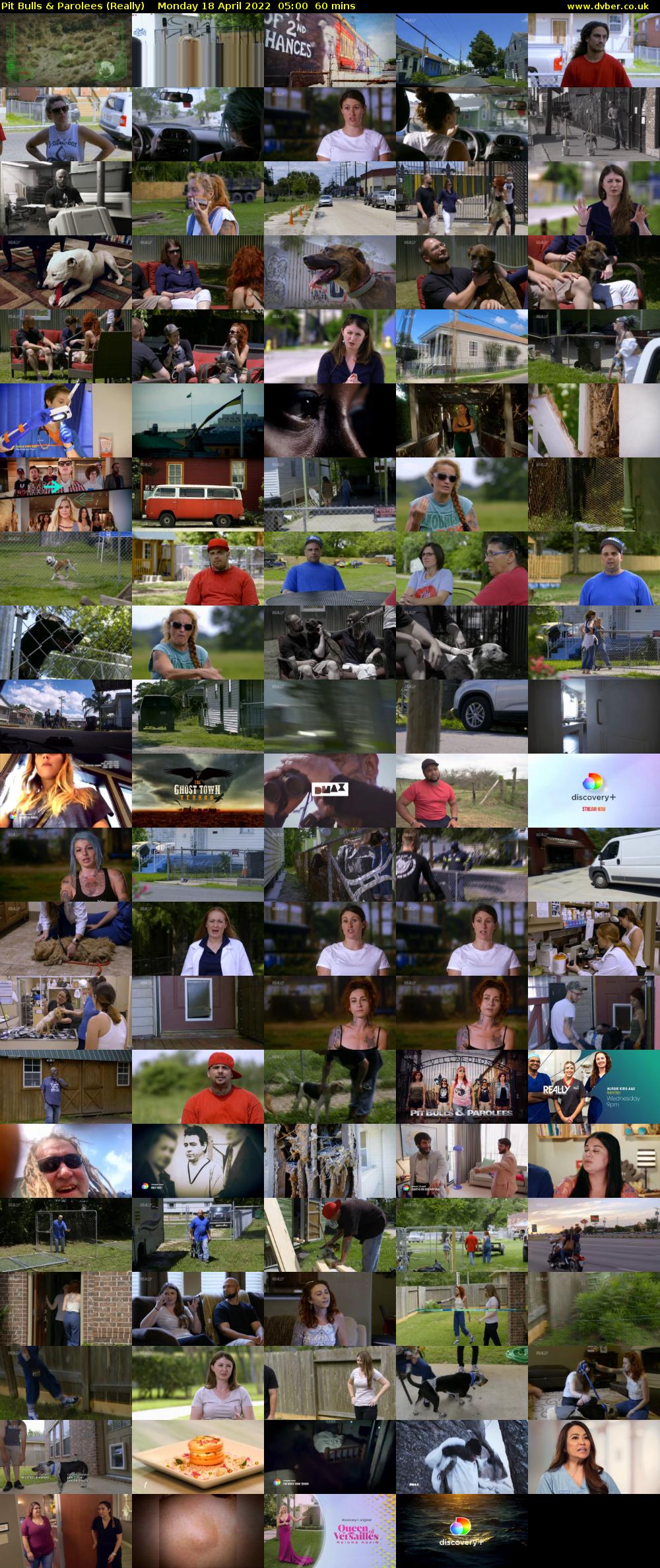 Pit Bulls & Parolees (Really) Monday 18 April 2022 05:00 - 06:00