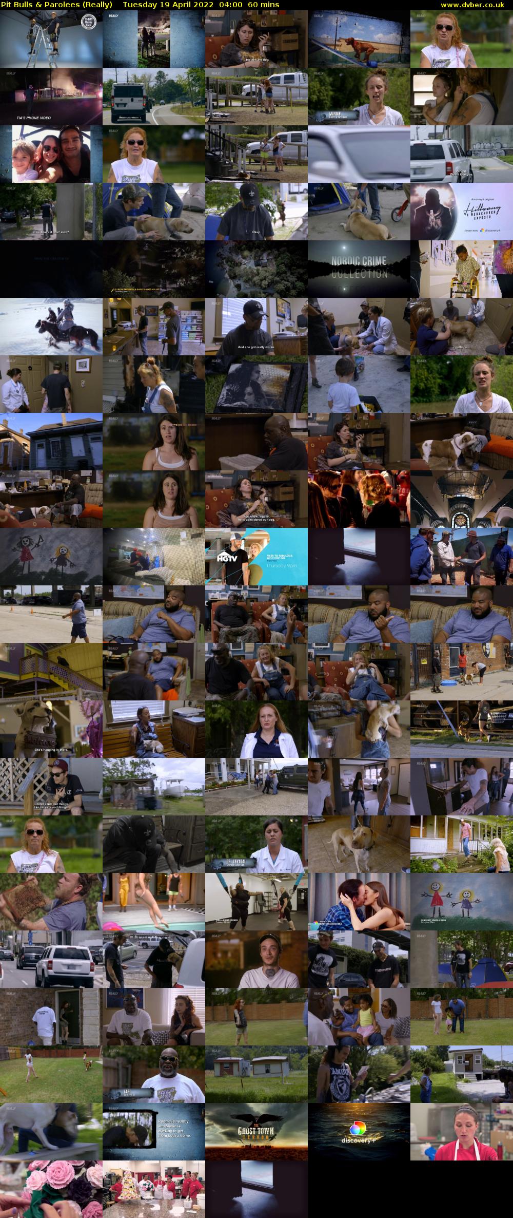 Pit Bulls & Parolees (Really) Tuesday 19 April 2022 04:00 - 05:00