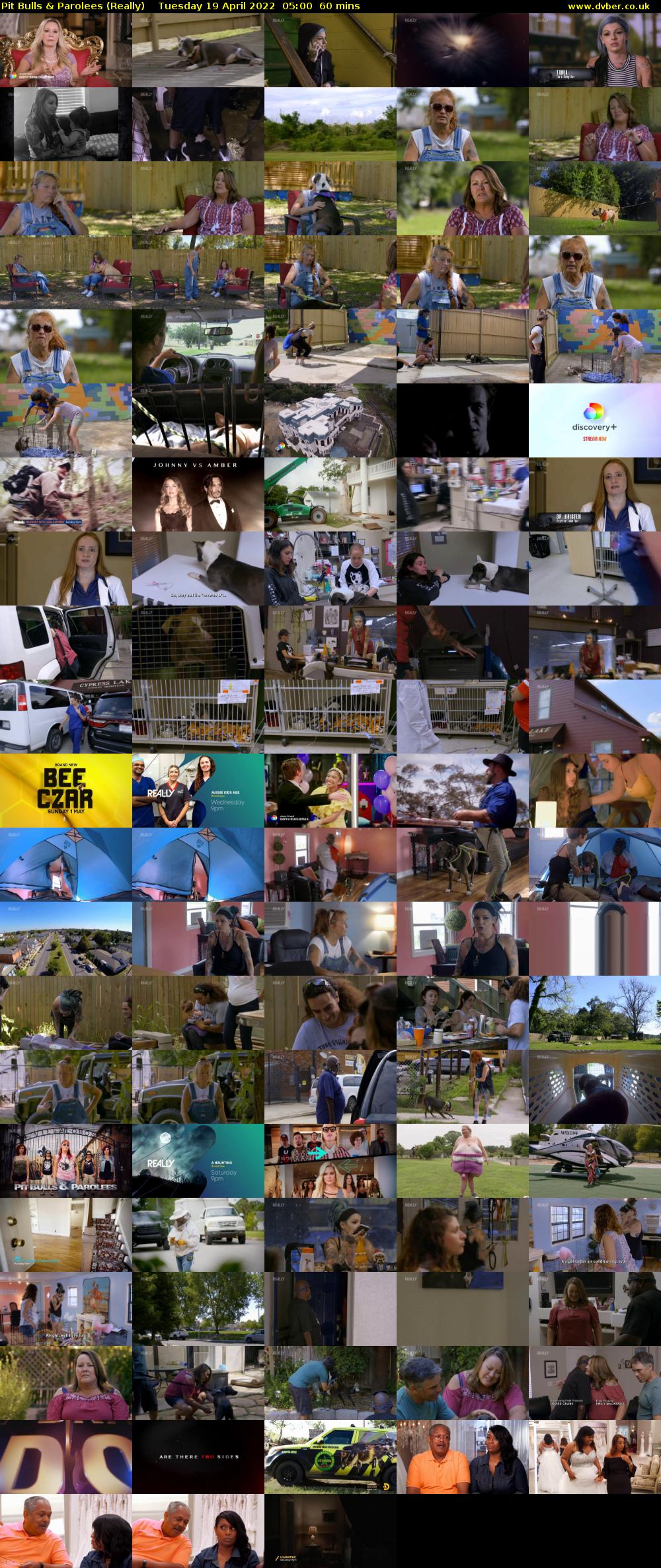 Pit Bulls & Parolees (Really) Tuesday 19 April 2022 05:00 - 06:00