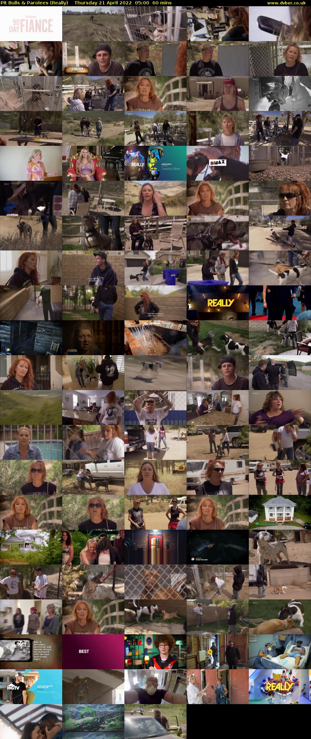 Pit Bulls & Parolees (Really) Thursday 21 April 2022 05:00 - 06:00