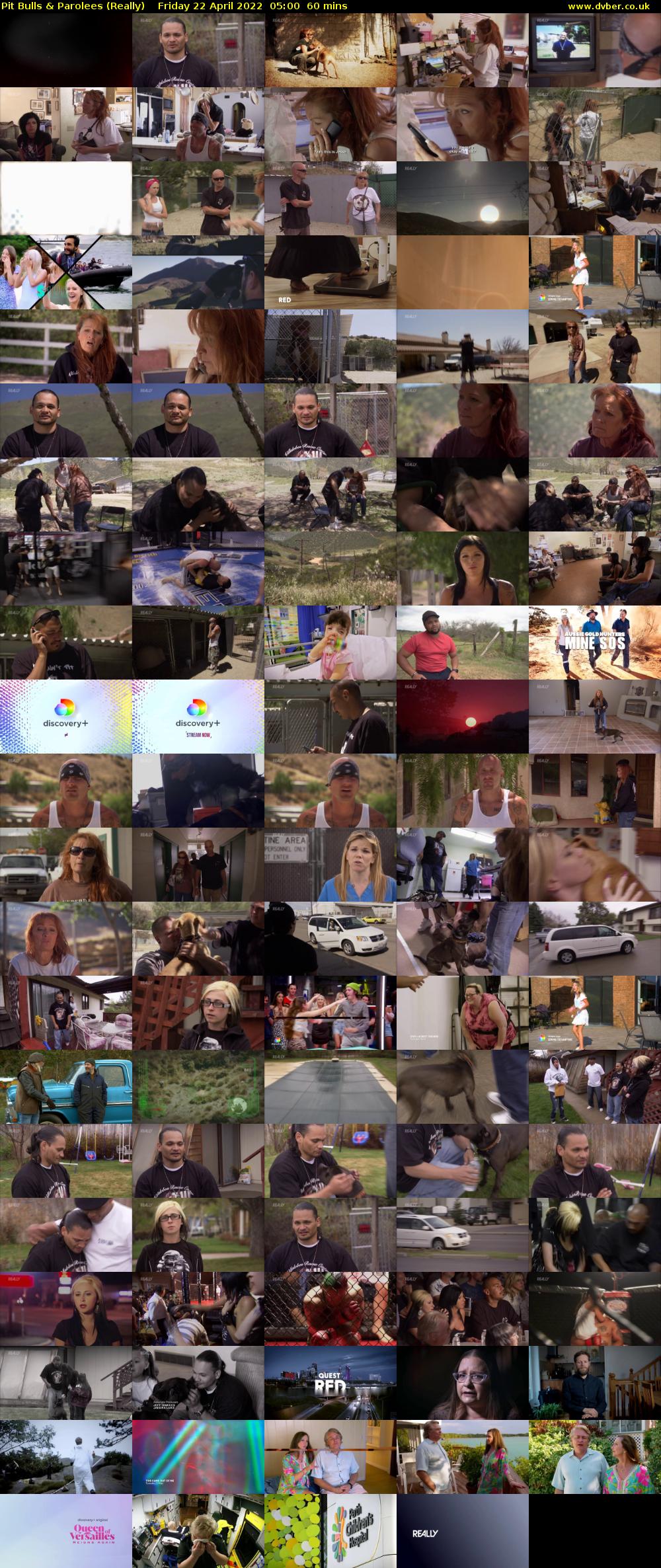 Pit Bulls & Parolees (Really) Friday 22 April 2022 05:00 - 06:00