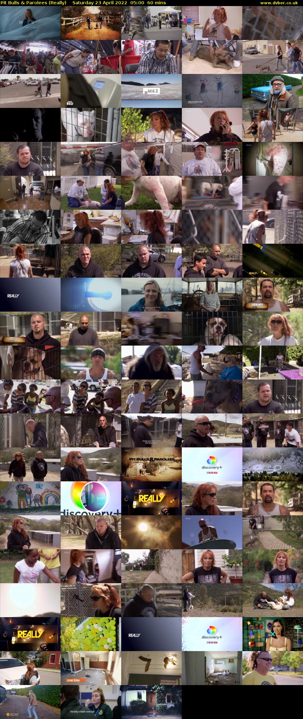 Pit Bulls & Parolees (Really) Saturday 23 April 2022 05:00 - 06:00