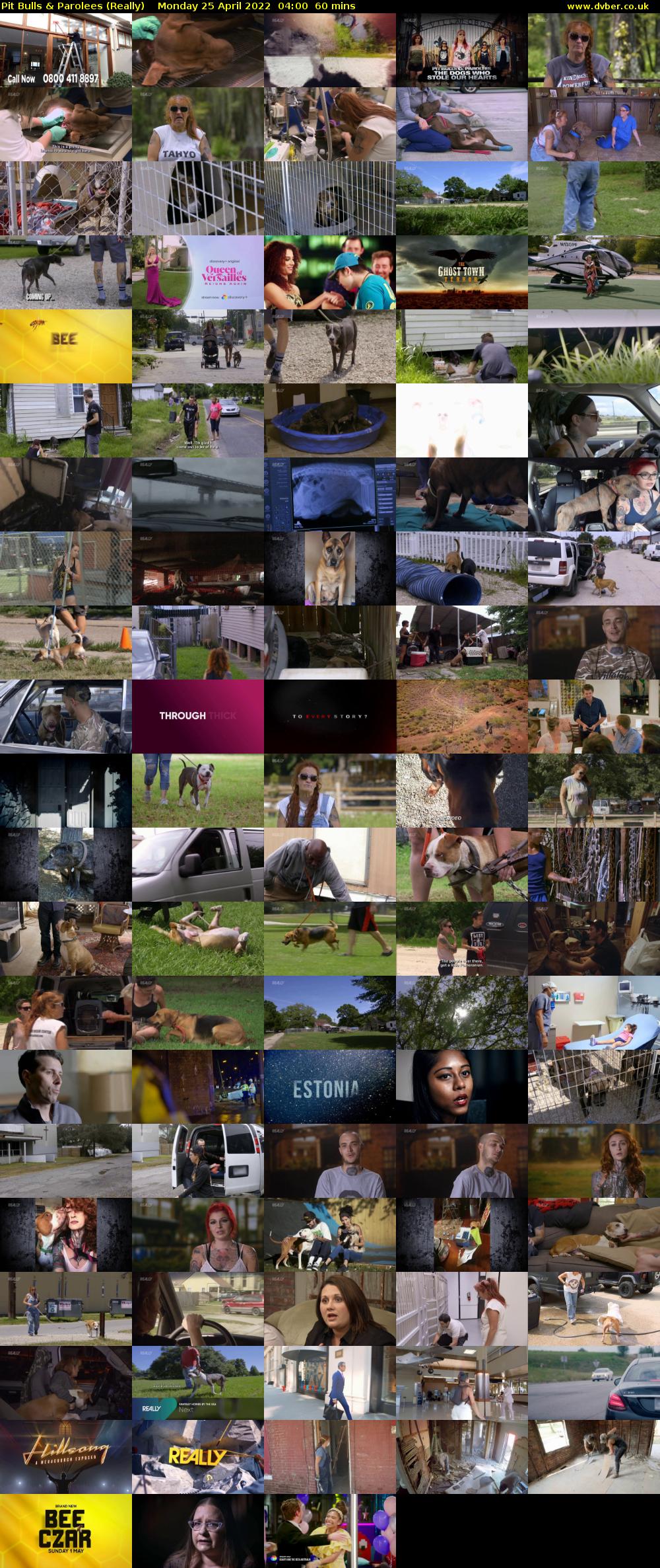 Pit Bulls & Parolees (Really) Monday 25 April 2022 04:00 - 05:00