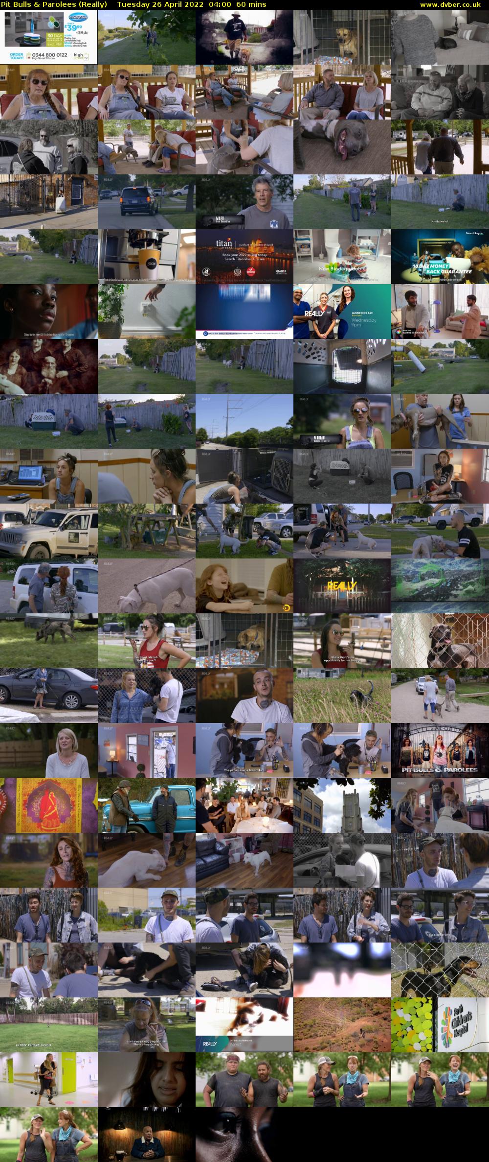 Pit Bulls & Parolees (Really) Tuesday 26 April 2022 04:00 - 05:00