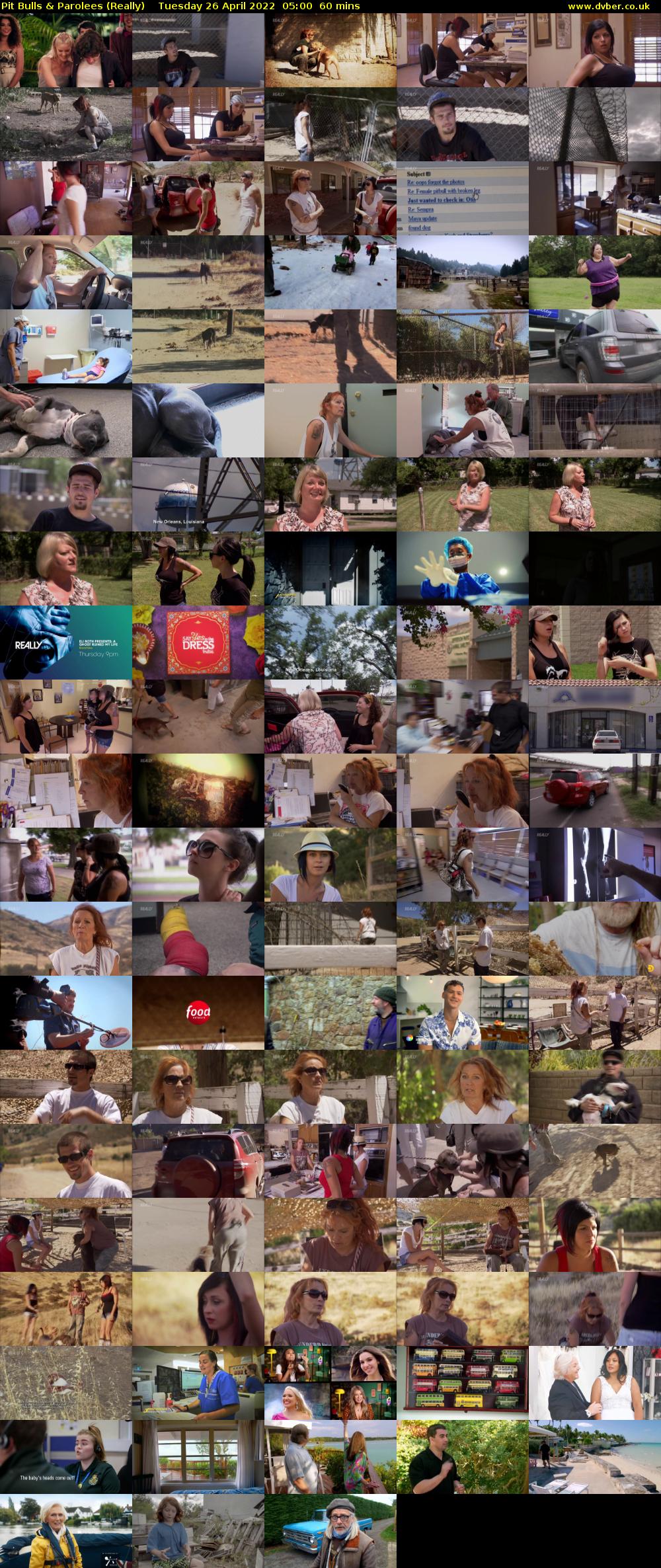 Pit Bulls & Parolees (Really) Tuesday 26 April 2022 05:00 - 06:00
