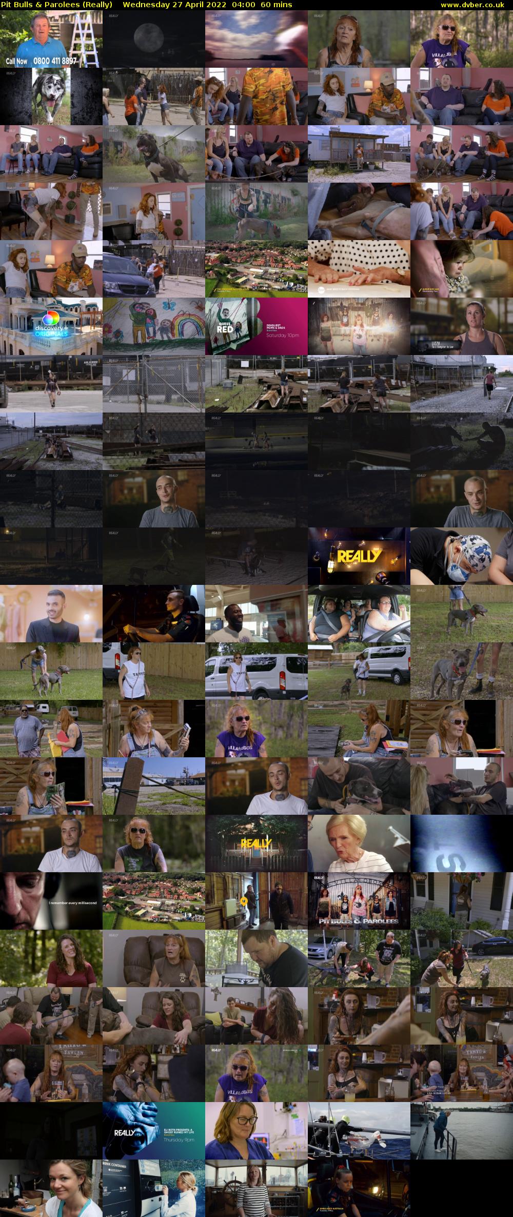 Pit Bulls & Parolees (Really) Wednesday 27 April 2022 04:00 - 05:00