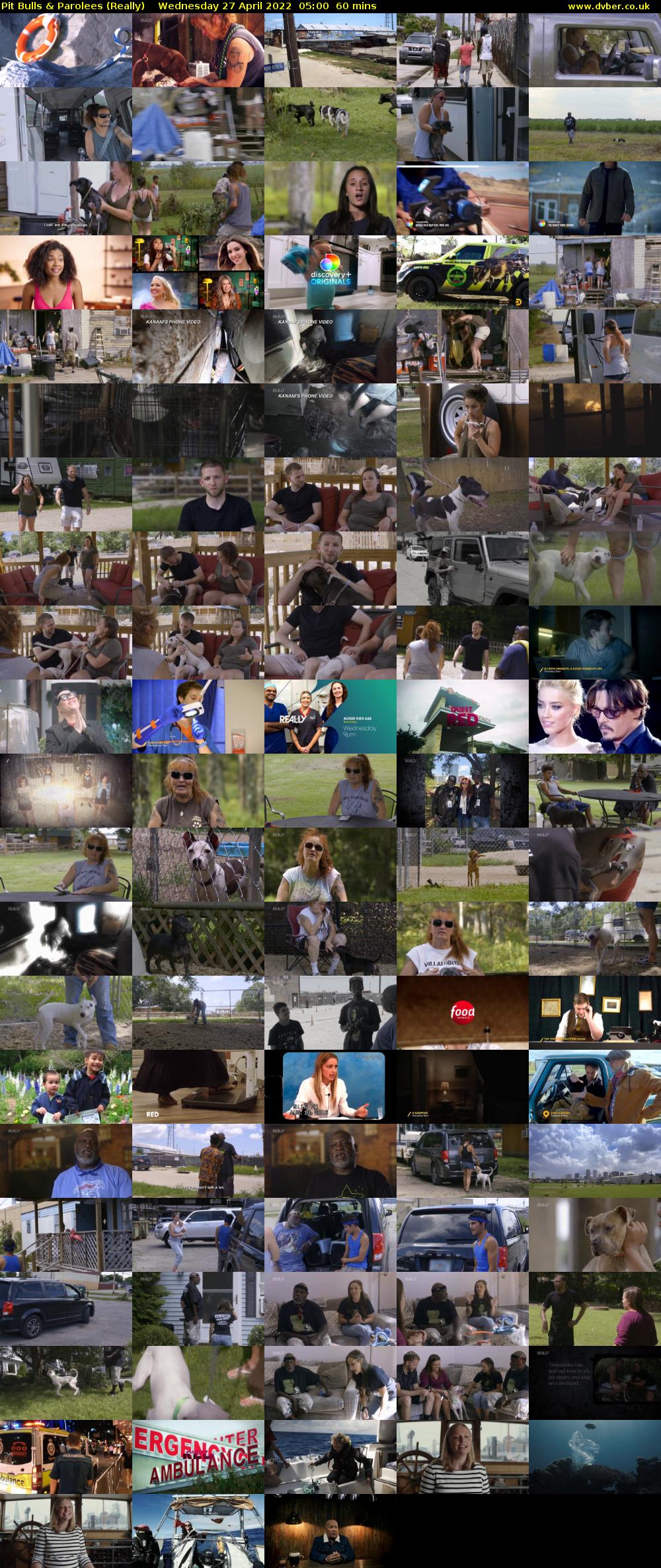 Pit Bulls & Parolees (Really) Wednesday 27 April 2022 05:00 - 06:00