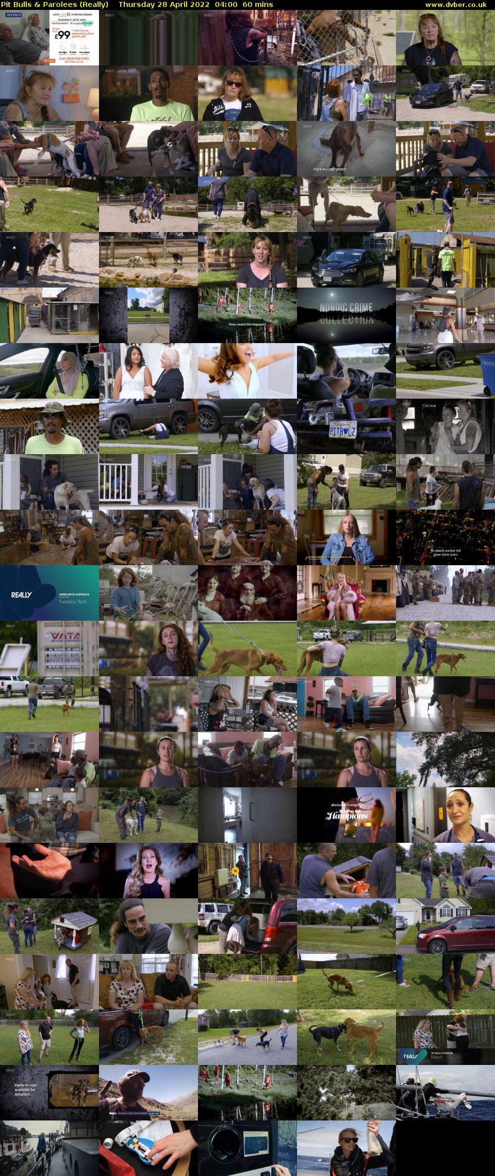 Pit Bulls & Parolees (Really) Thursday 28 April 2022 04:00 - 05:00