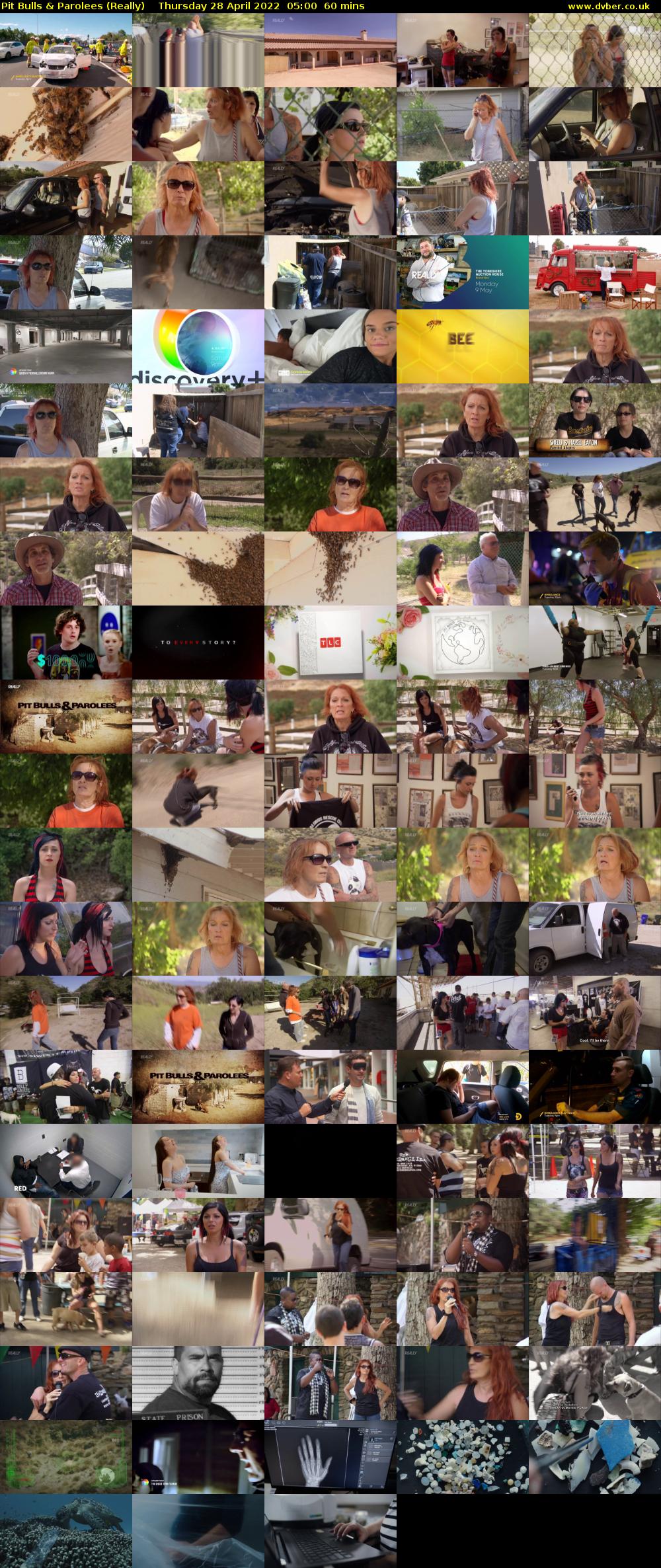 Pit Bulls & Parolees (Really) Thursday 28 April 2022 05:00 - 06:00