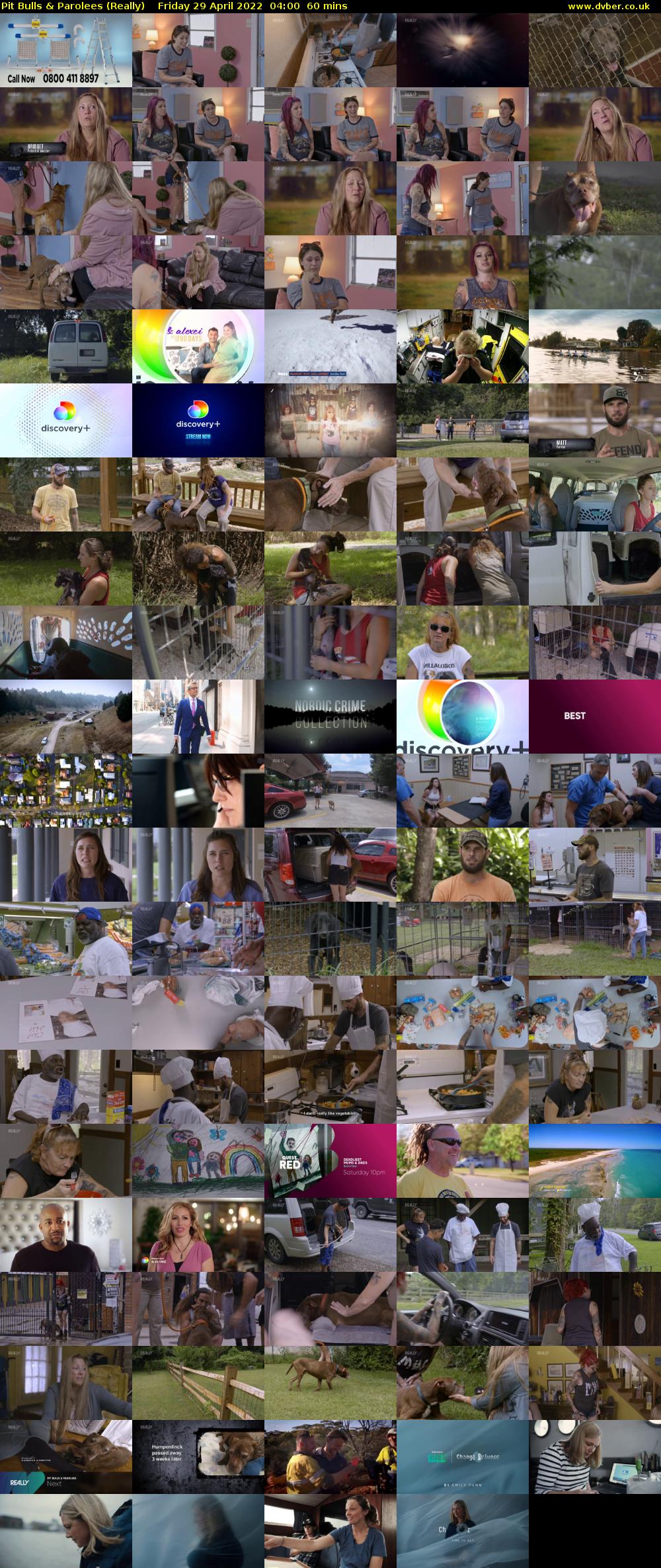 Pit Bulls & Parolees (Really) Friday 29 April 2022 04:00 - 05:00