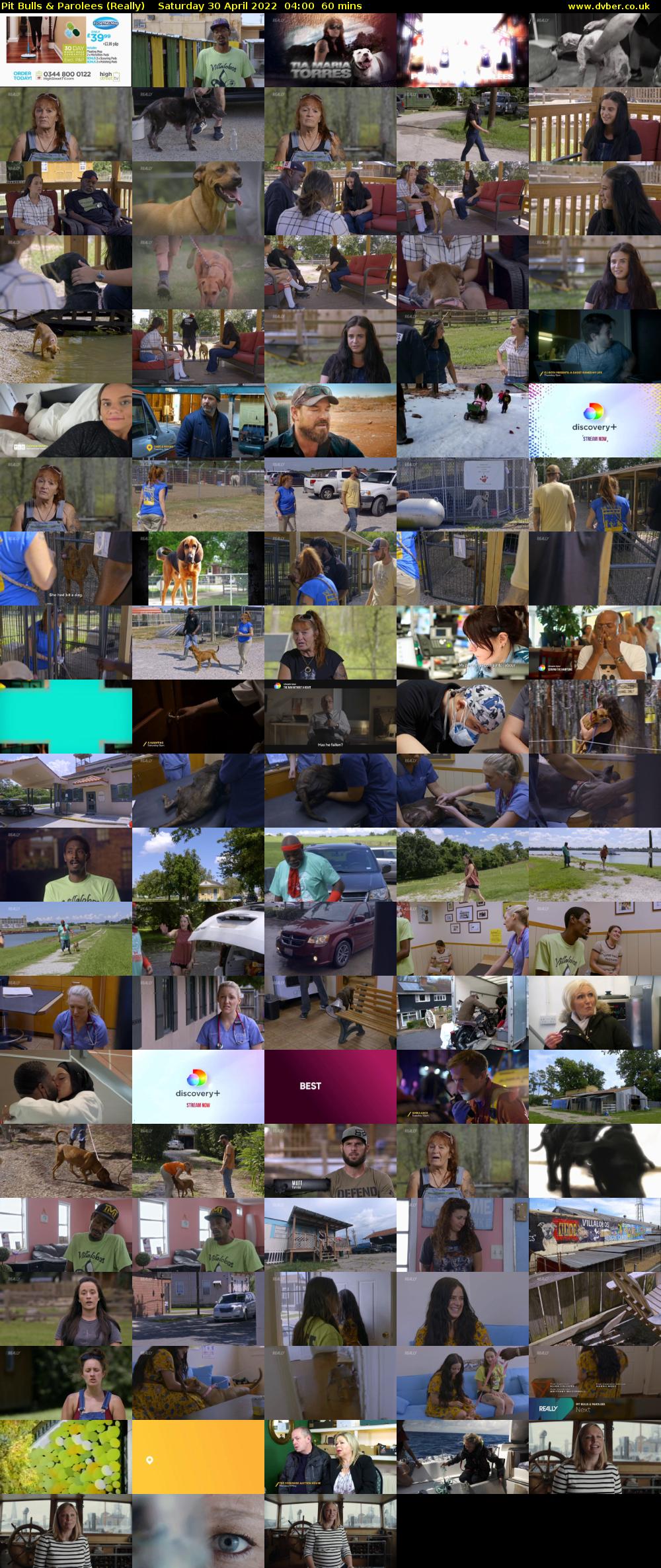 Pit Bulls & Parolees (Really) Saturday 30 April 2022 04:00 - 05:00