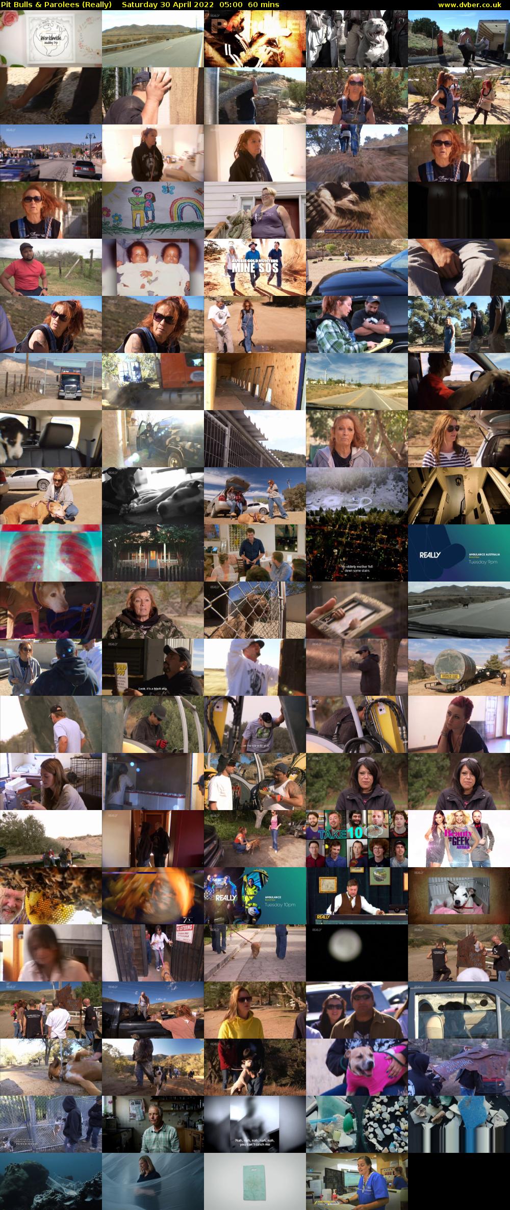 Pit Bulls & Parolees (Really) Saturday 30 April 2022 05:00 - 06:00
