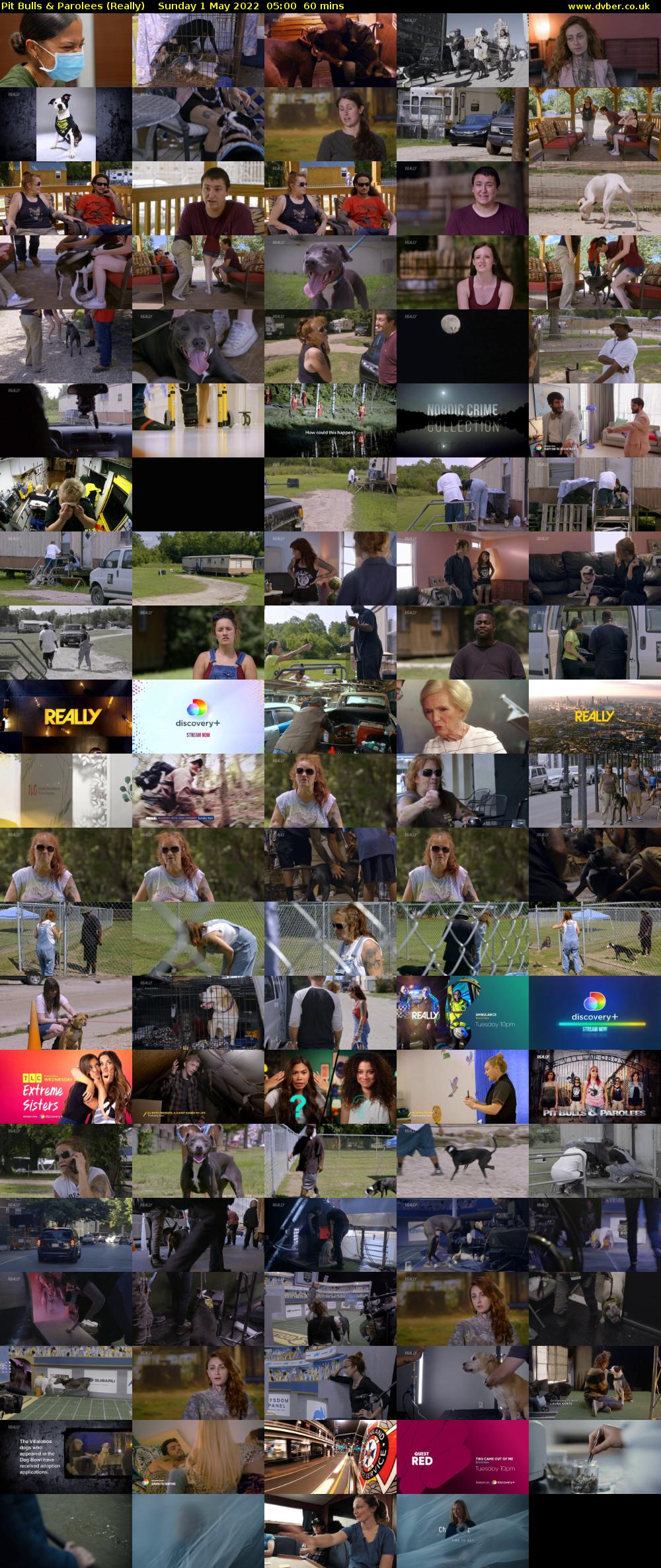 Pit Bulls & Parolees (Really) Sunday 1 May 2022 05:00 - 06:00