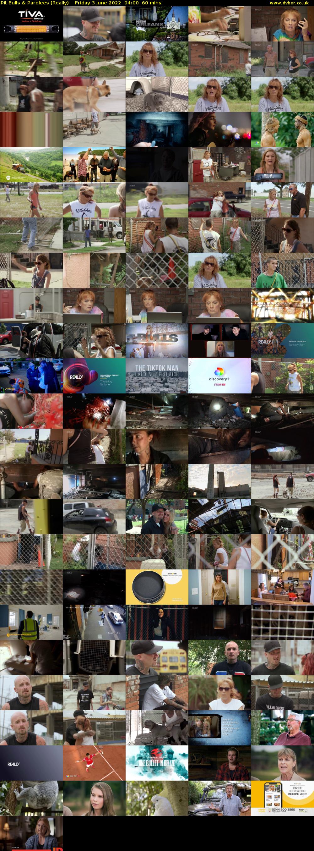 Pit Bulls & Parolees (Really) Friday 3 June 2022 04:00 - 05:00