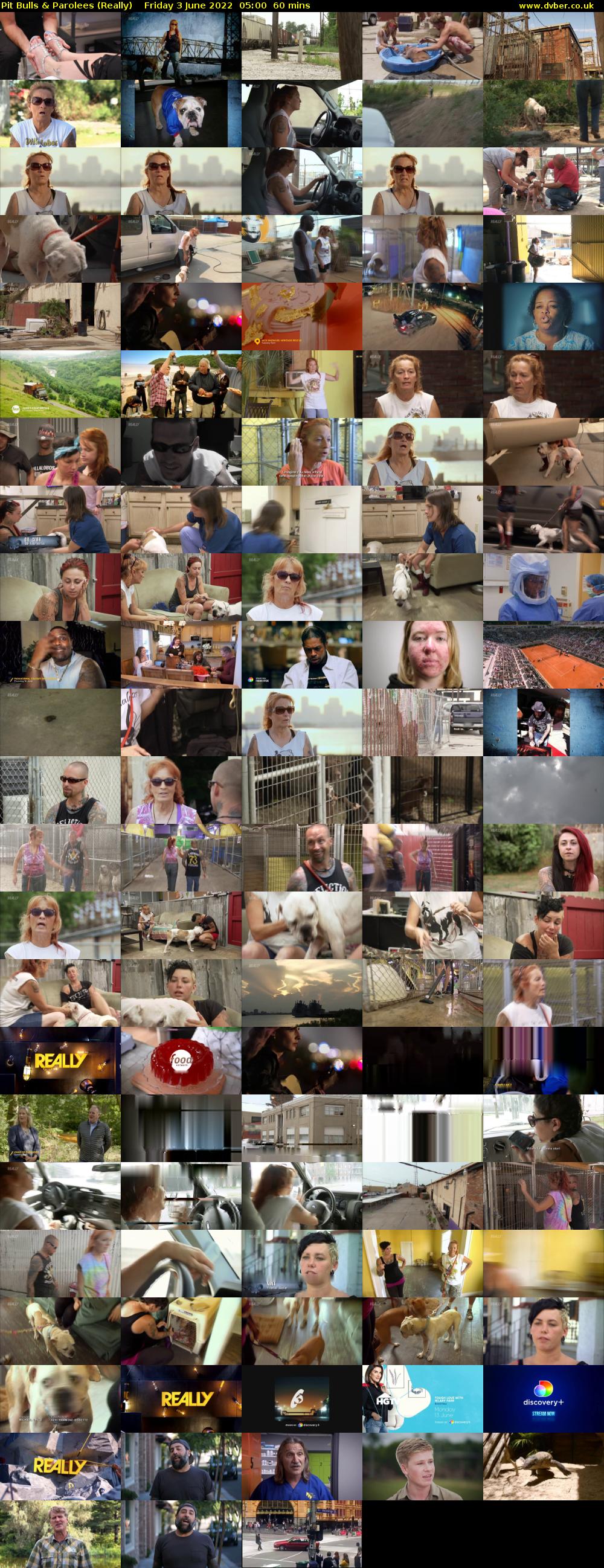 Pit Bulls & Parolees (Really) Friday 3 June 2022 05:00 - 06:00