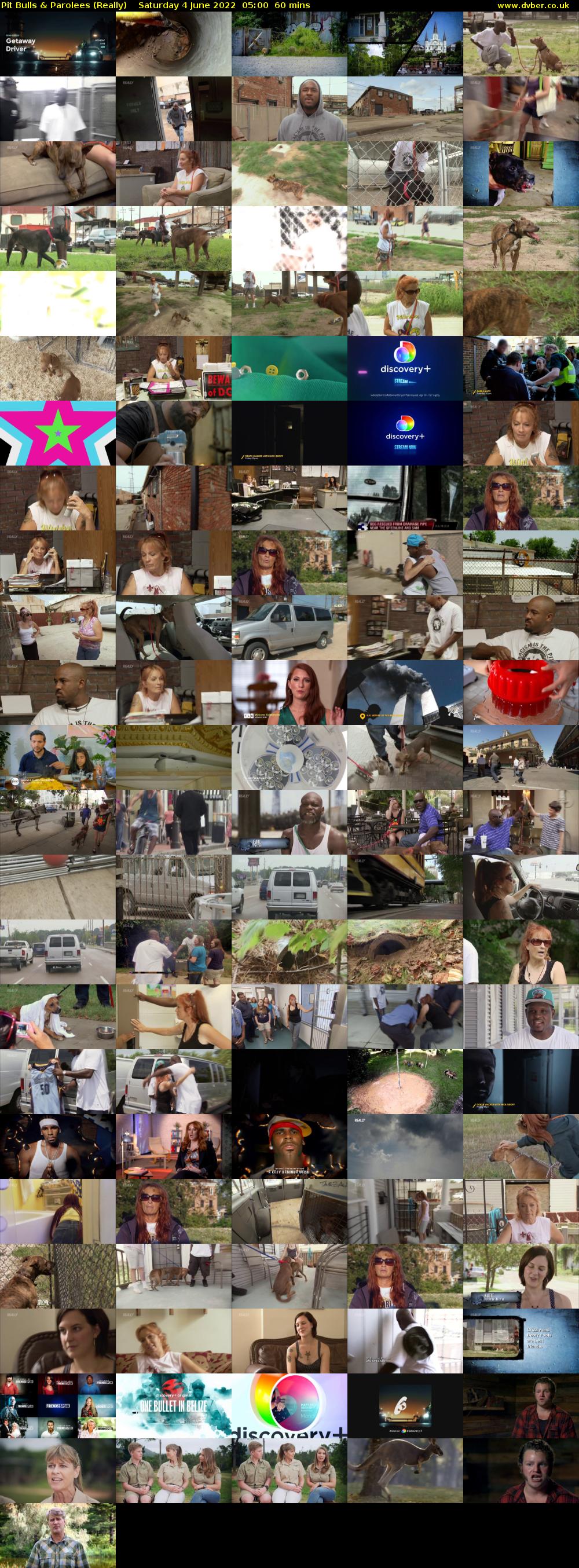 Pit Bulls & Parolees (Really) Saturday 4 June 2022 05:00 - 06:00