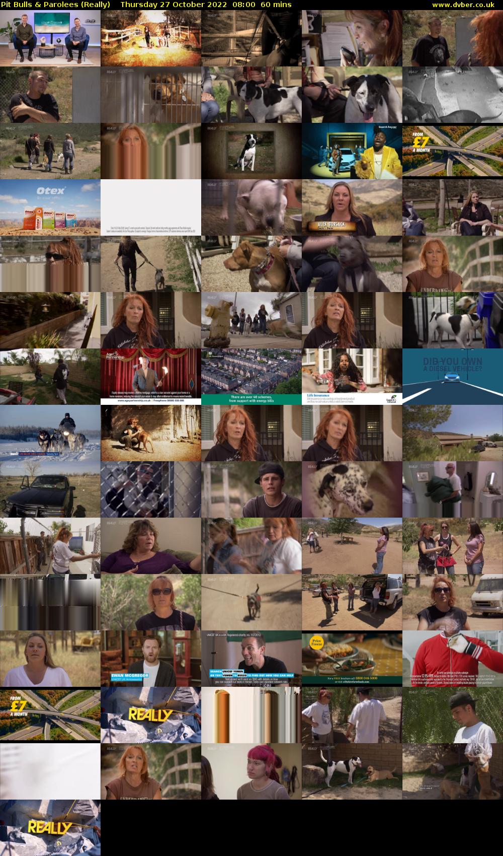 Pit Bulls & Parolees (Really) Thursday 27 October 2022 08:00 - 09:00