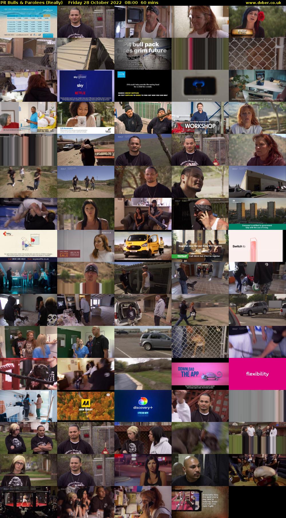 Pit Bulls & Parolees (Really) Friday 28 October 2022 08:00 - 09:00