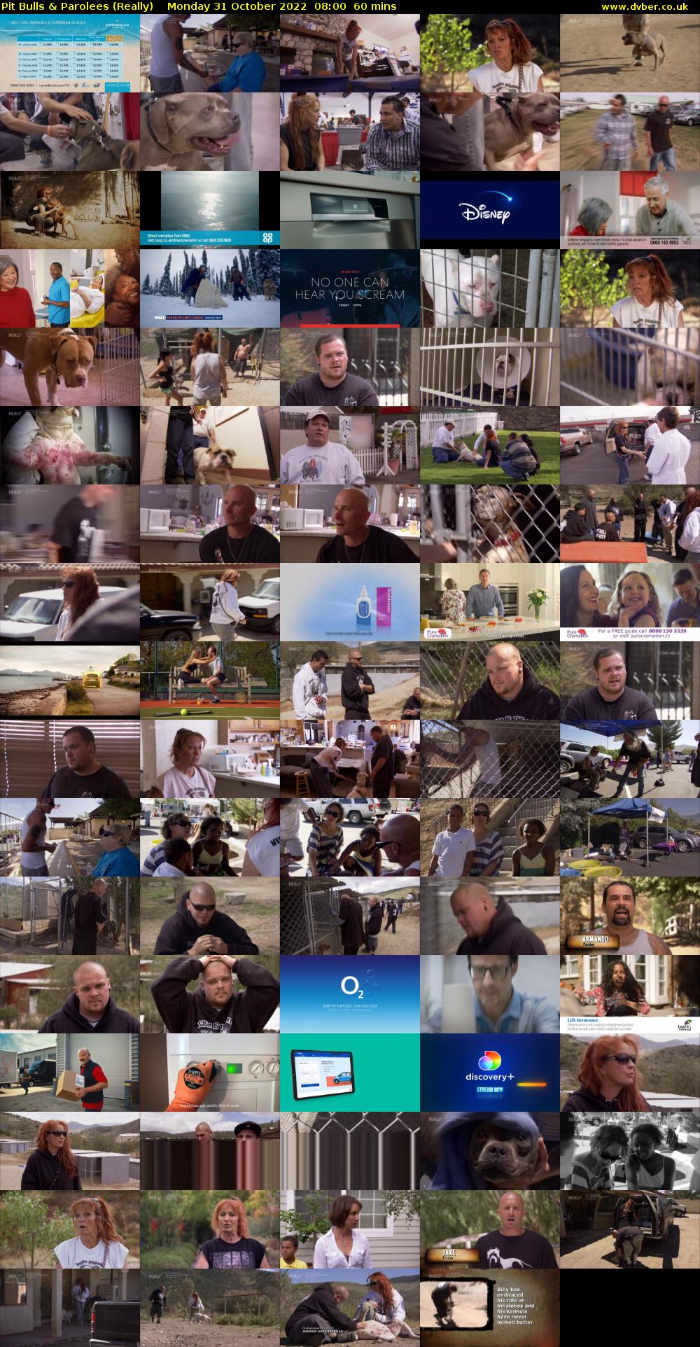 Pit Bulls & Parolees (Really) Monday 31 October 2022 08:00 - 09:00