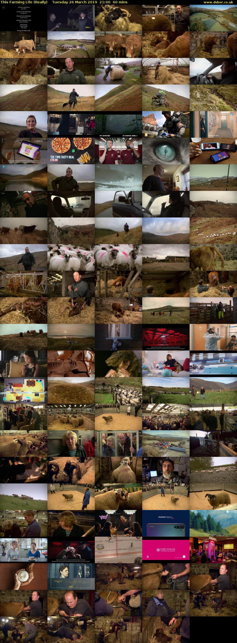 This Farming Life (Really) Tuesday 26 March 2019 21:00 - 22:00