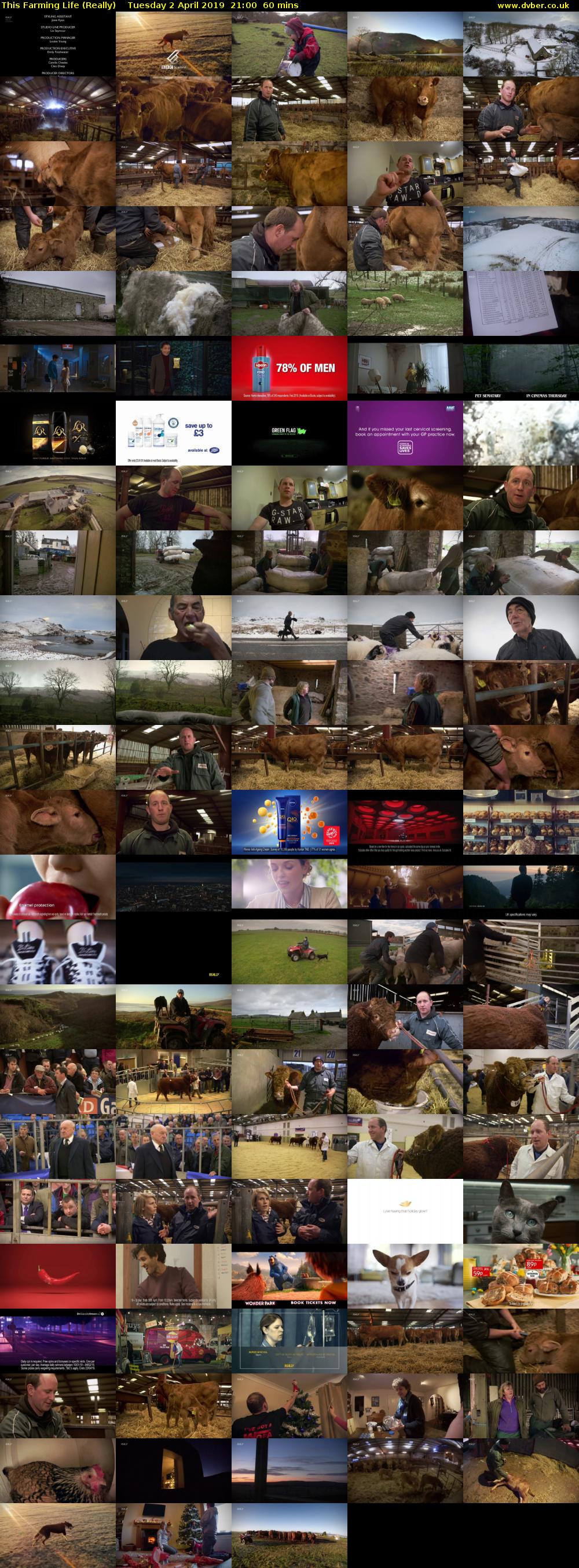 This Farming Life (Really) Tuesday 2 April 2019 21:00 - 22:00