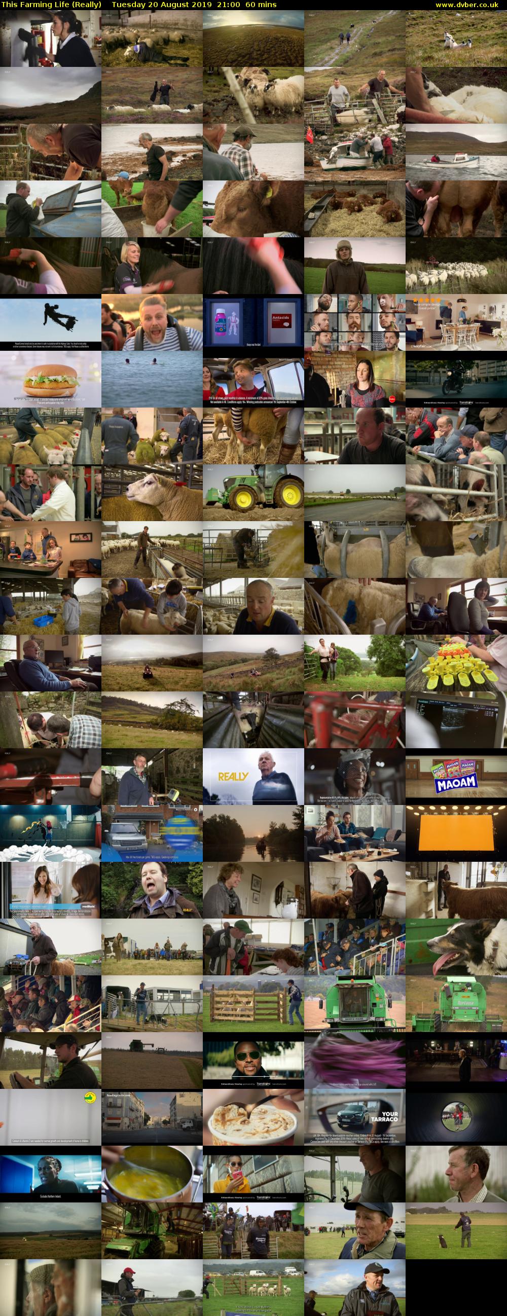 This Farming Life (Really) Tuesday 20 August 2019 21:00 - 22:00